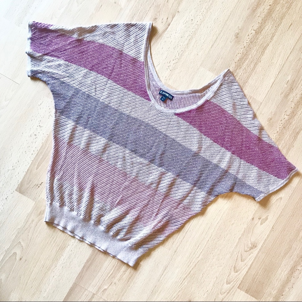 🚨 CLEARANCE! Express Metallic Stripe Short Top